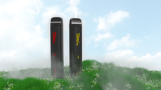 使い捨て可能な3000のパフBOUは煙5% Nic 1350mAh 13を風味を付ける10ml EのCigに禁止する